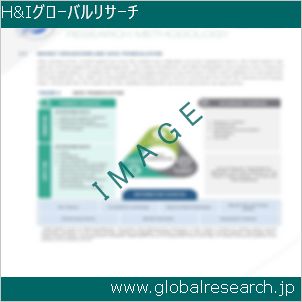 グローバルリサーチ調査レポートのイメージ